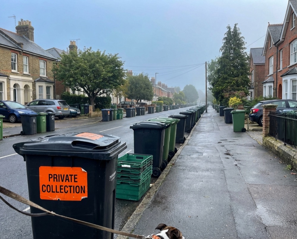 Residential street with bins in Aldwick awaiting collection